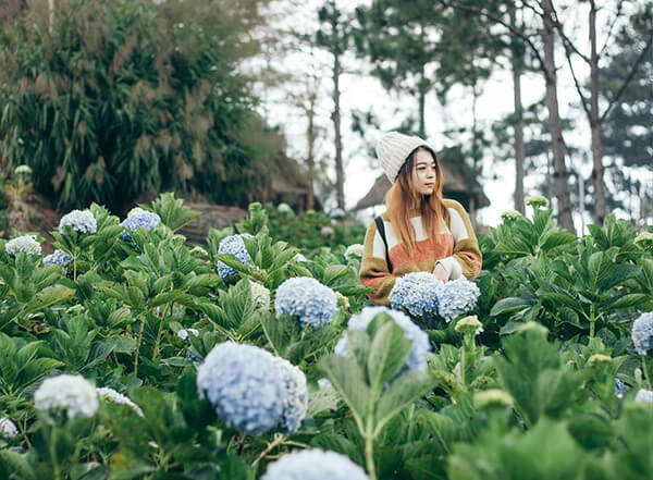 thung lũng tình yêu đà lạt