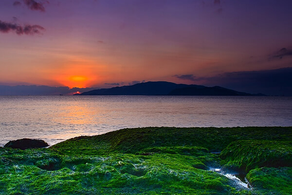 bãi đá rêu địa điểm du lịch nha trang