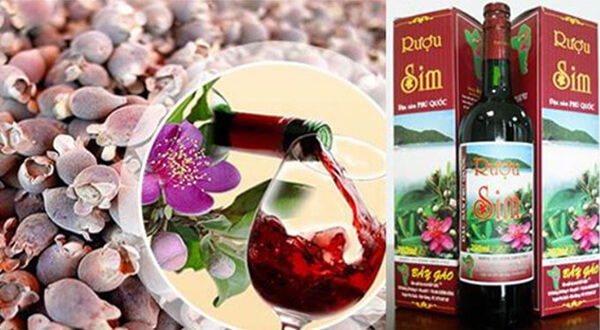 cơ sở sản xuất rượu sim địa điểm du lịch phú quốc
