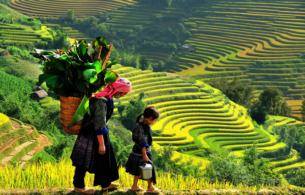 lễ hội sapa dừng tổ chức ngày 2/9