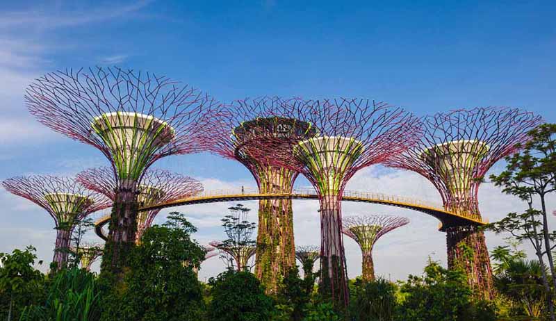 gardens by the bay