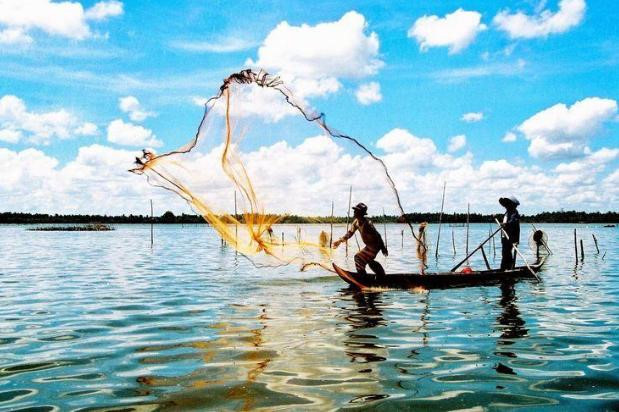 Sông nước cà mau