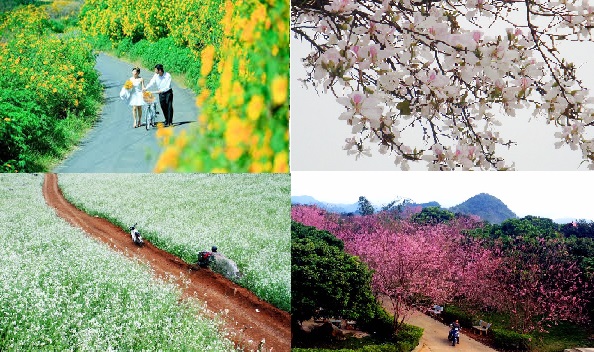 sắc mộc lan