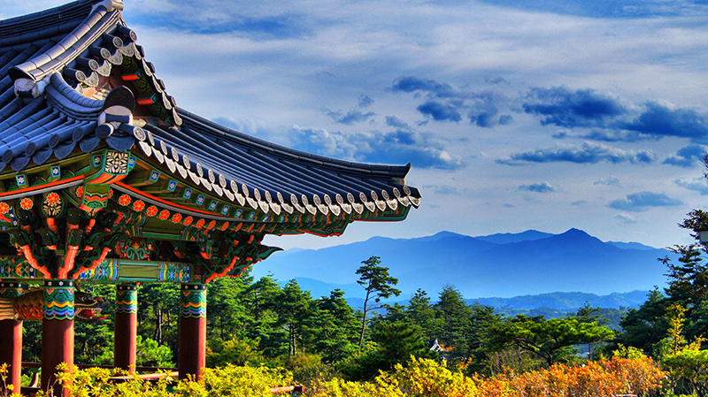 gia-ve-may-bay-di-seoul-han-quoc-2