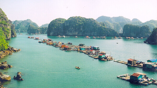 địa điểm du lịch hải phòng vé máy bay tết 2021 giá rẻ elines